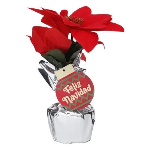 Ornamentos de navidad