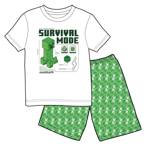 Pijmojangminecraft04