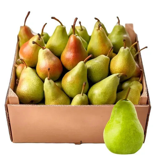 Pera Caja Completa Kgd