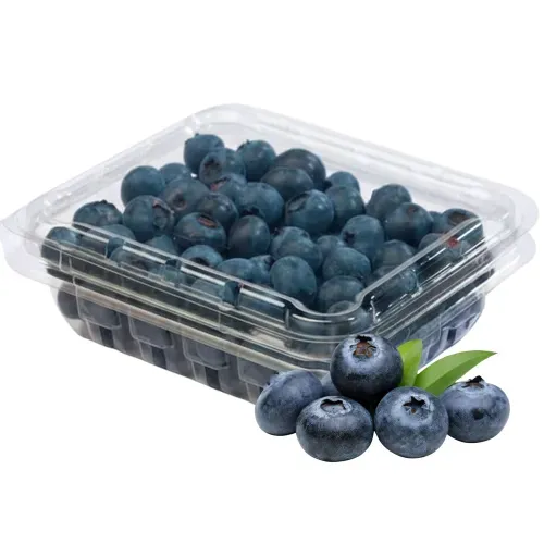 Arándanos Hortifruti empacados - 125 g
