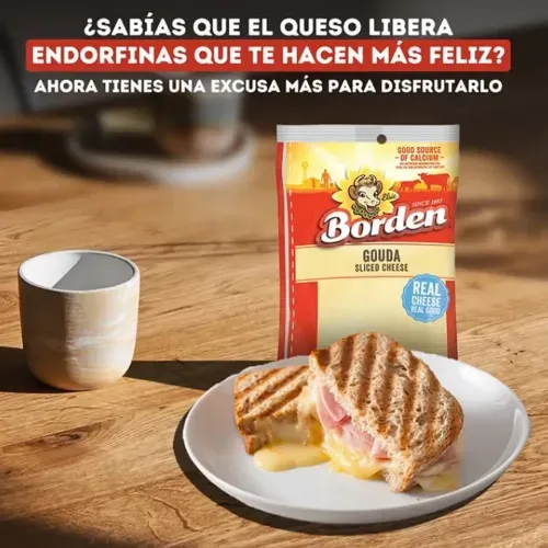 Queso Borden Gouda Rebanado - 170 g