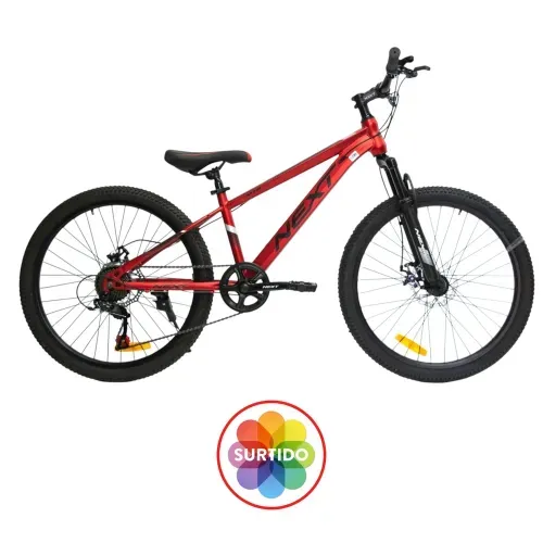 Bicicleta Next MTB R24 edad 10 años en adelante