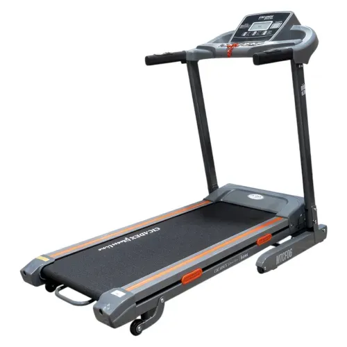 Pista Eléctrica Cicadex 2Hp