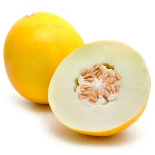Melón Golden Precio indicado por Kilo - 1 a 2 Unidades por KIlo Aproximadamente