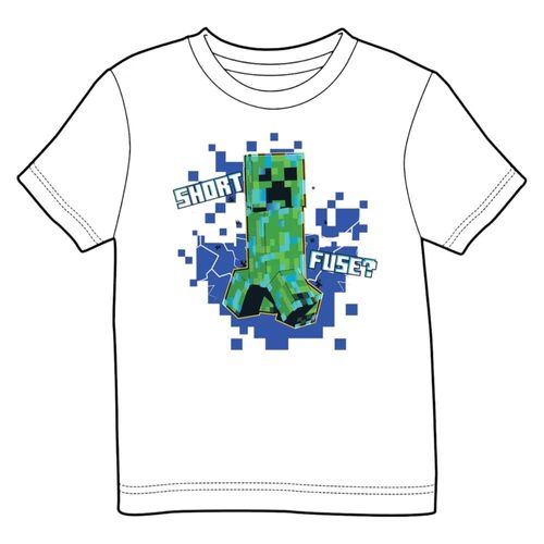 Camisaminecraft04