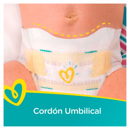 Pamper Swaddler Jumbo S6 16 Unidad