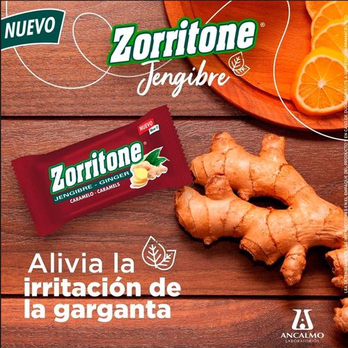 Zorritone Jengibre Disp X 10