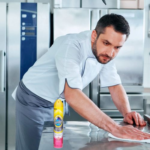 Limpiador Acero Inox Pledge Mueb 378ml