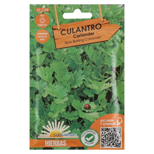 Semillas Culantro Sol Naciente