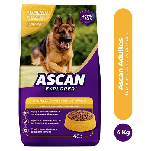 Alimento Ascan explorer para perro adulto raza medianas y grandes - 4 kg