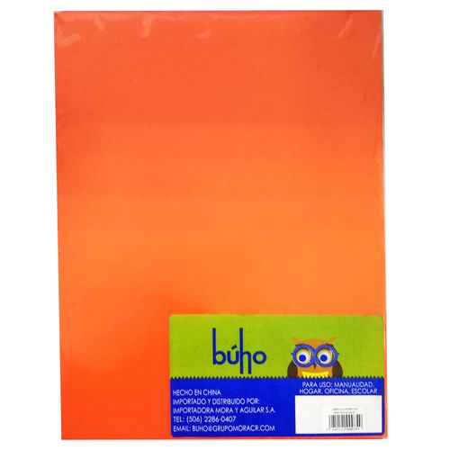 Carpeta lisa Búho, Paquete surtido -5 uds
