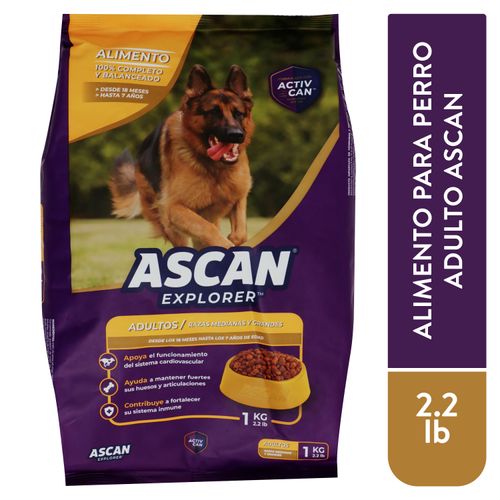 Alimento Ascan explorer para perro adulto raza medianas y grandes - 1 kg