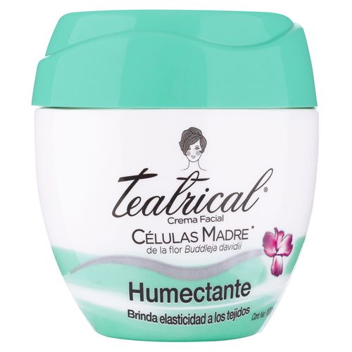 Crema Teatrical Facial Humectante - 100 g