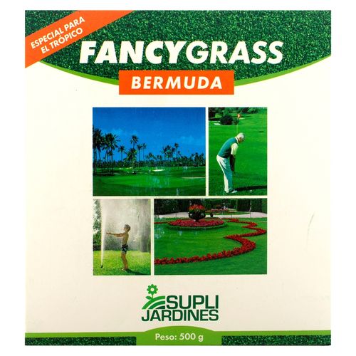 Semillas de zacate Fancygrass supli jardines especiales para el trópico - 500 g