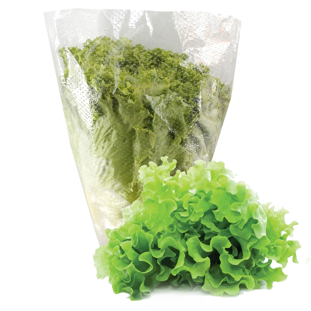 Comprar Repollo Blanco Kilo | Walmart Costa Rica - Maxipalí | Costa Rica