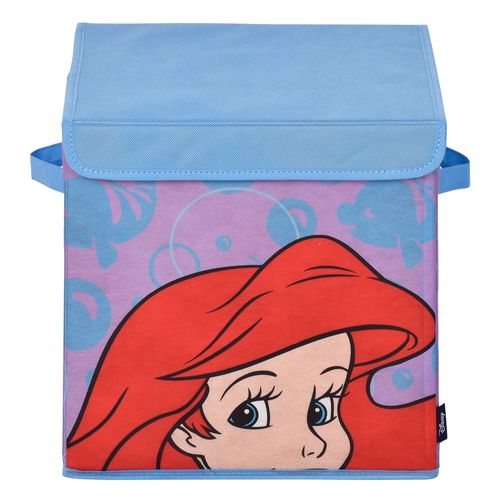 Caja De Almacenamiento Con Tapa Ariel